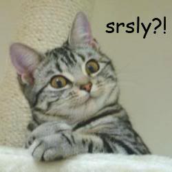 Name:  1154236405932.jpg
Views: 11
Size:  8.2 KB