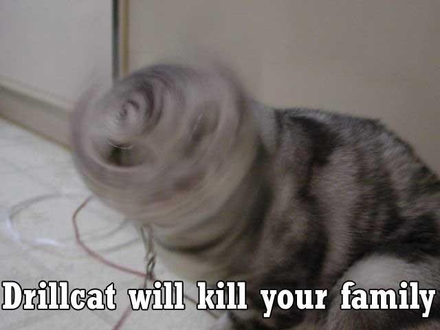 Name:  drillcat.jpg
Views: 14
Size:  23.5 KB