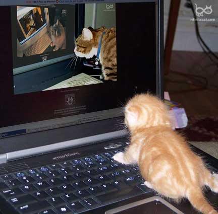 Name:  1161407037439.jpg
Views: 13
Size:  25.9 KB
