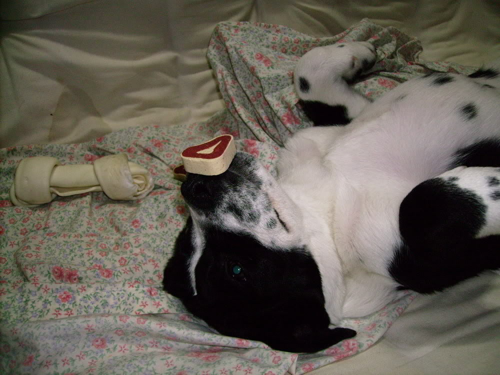 Name: IMGP0127_resize.jpg
Views: 31
Size: 124.5 KB