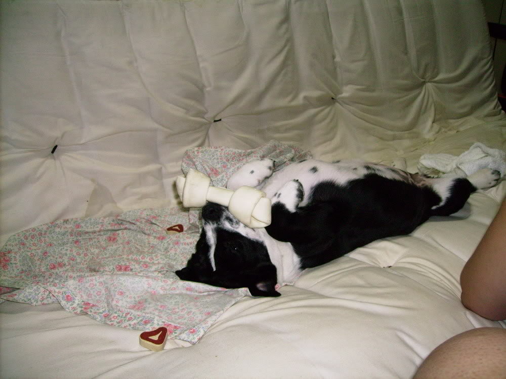 Name: IMGP0129_resize.jpg
Views: 37
Size: 97.7 KB