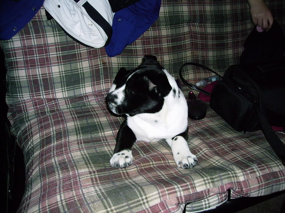Name:  IMGP0121_resize.jpg
Views: 37
Size:  220.7 KB