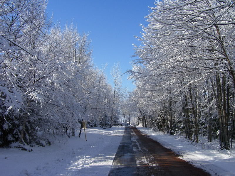 Name:  100_1238.jpg
Views: 23
Size:  131.1 KB