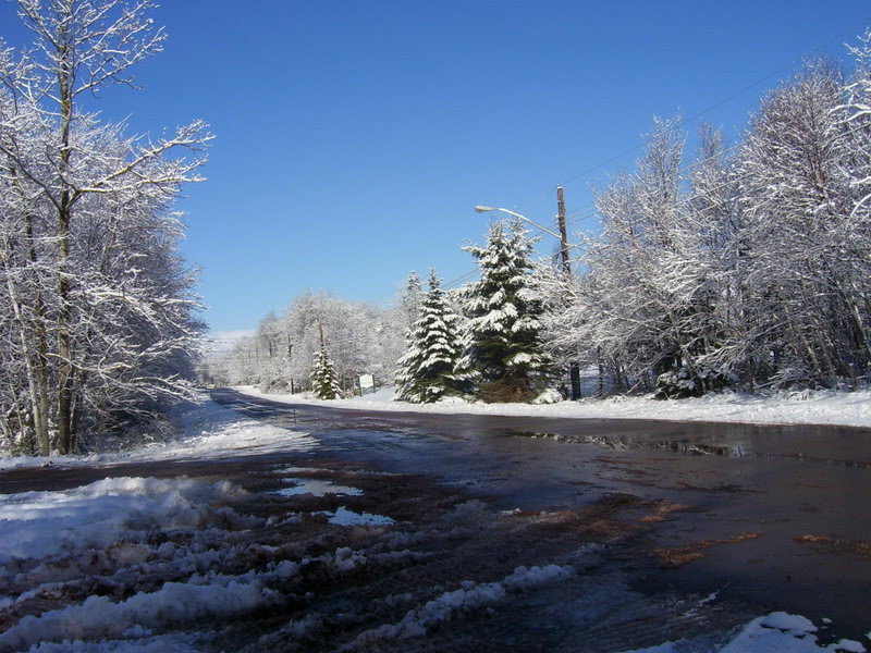 Name: 100_1240.jpg
Views: 26
Size: 114.4 KB