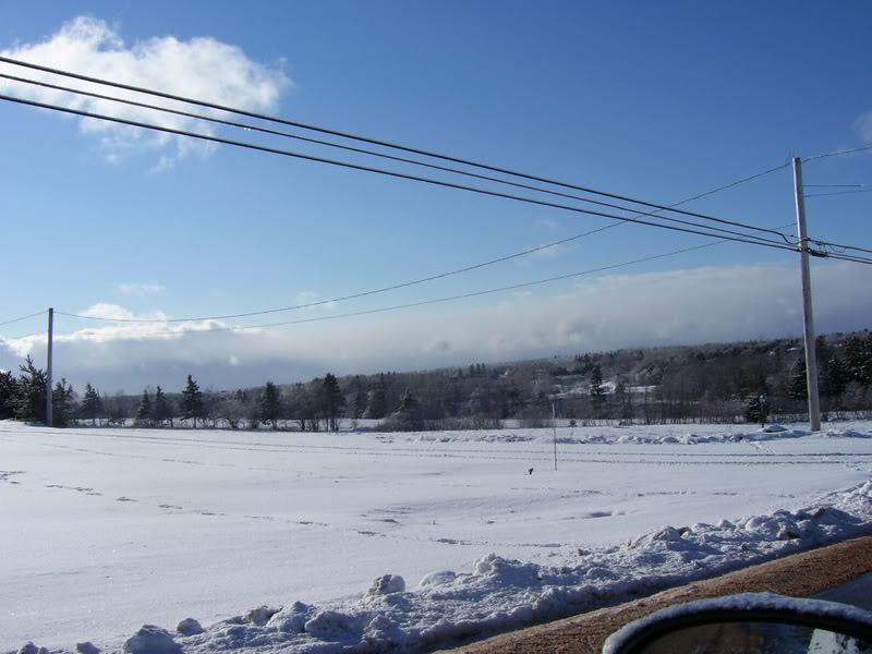 Name:  100_1241.jpg
Views: 28
Size:  76.3 KB