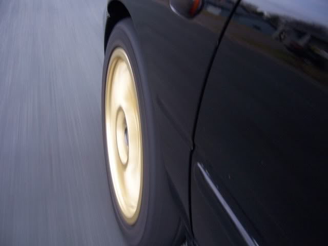 Name:  000_0801.jpg
Views: 45
Size:  20.6 KB