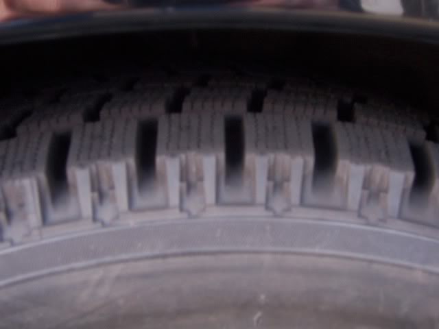 Name:  000_0817.jpg
Views: 48
Size:  19.7 KB