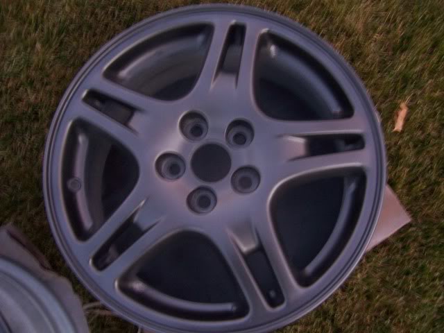 Name:  000_0771.jpg
Views: 54
Size:  45.5 KB