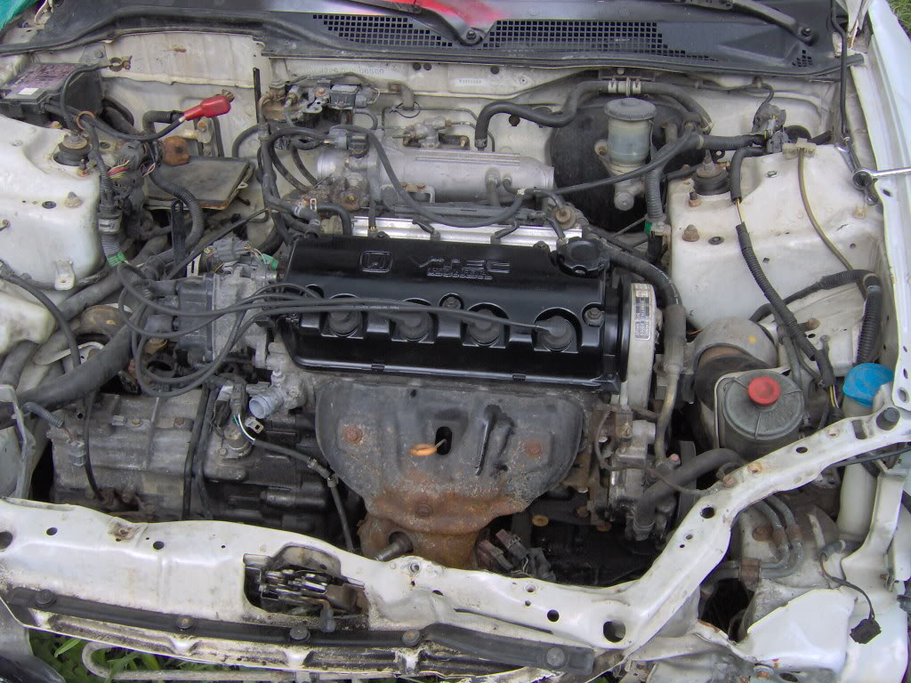Name: IM000550.jpg
Views: 31
Size: 160.2 KB
