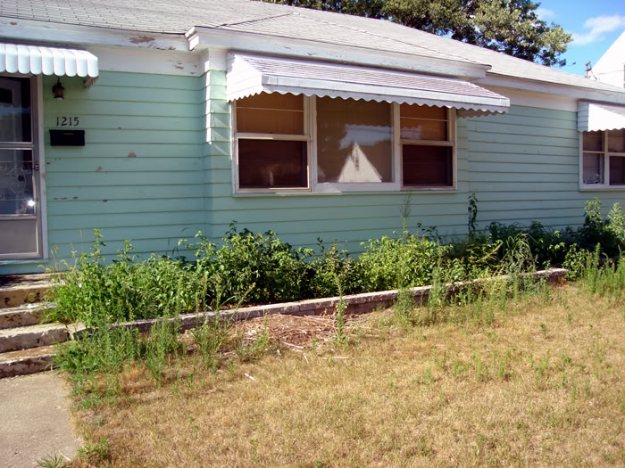 Name:  FrontLawn2.jpg
Views: 67
Size:  125.9 KB