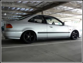 Name: burtoni3.jpg
Views: 855
Size: 16.3 KB