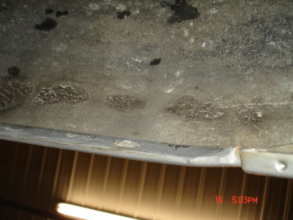 Name:  civicrolled024.jpg
Views: 38
Size:  124.0 KB