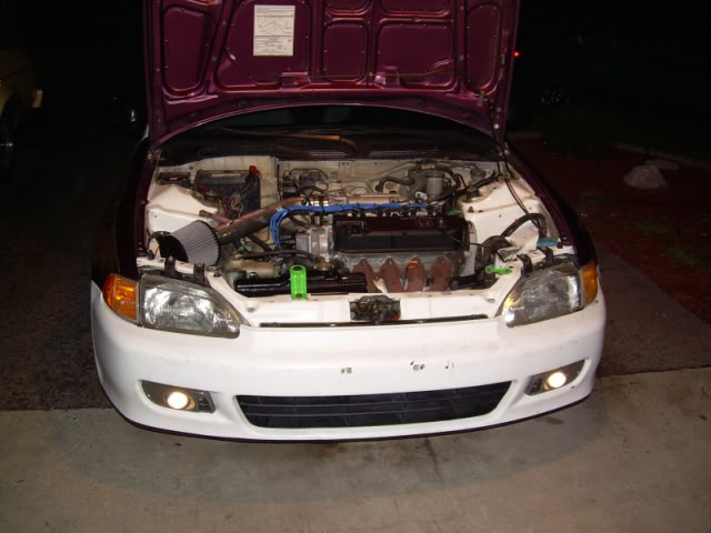 Name: paul002-1.jpg
Views: 198
Size: 79.4 KB