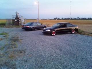 Name:  brandon10.jpg
Views: 168
Size:  12.0 KB