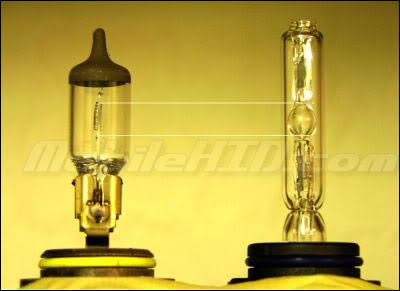 Name:  bulbs.jpg
Views: 39
Size:  16.8 KB