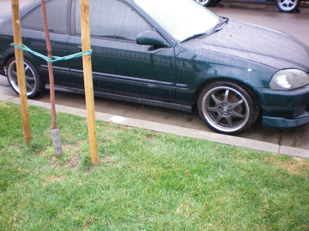 Name: ff7-1.jpg
Views: 1218
Size: 188.1 KB