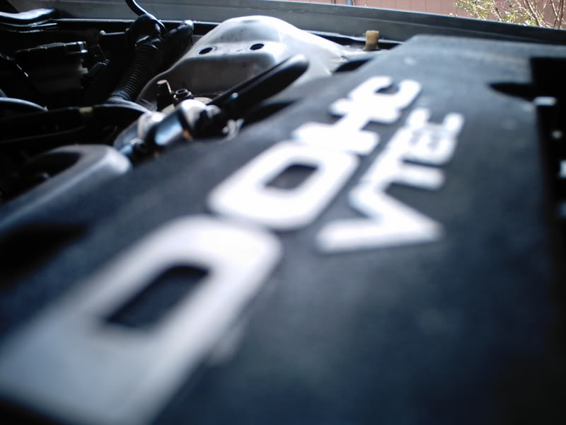 Name: DCFC0031.jpg
Views: 28
Size: 43.2 KB
