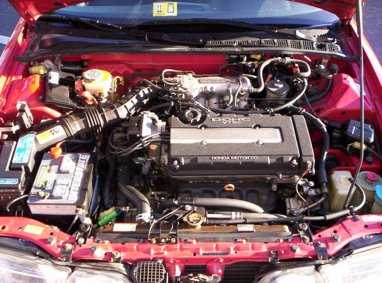 Name: 000_0350.jpg
Views: 927
Size: 99.4 KB