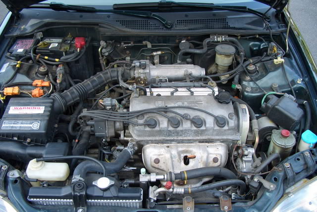 Name:  civic6.jpg
Views: 35
Size:  110.7 KB