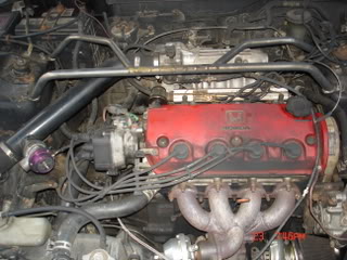 Name: anthony133.jpg
Views: 31
Size: 25.5 KB