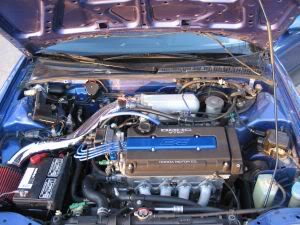 Name: Picture001.jpg
Views: 40
Size: 22.5 KB