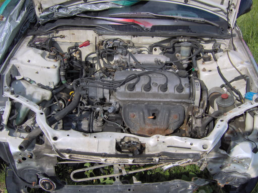 Name: Picture008.jpg
Views: 39
Size: 187.1 KB