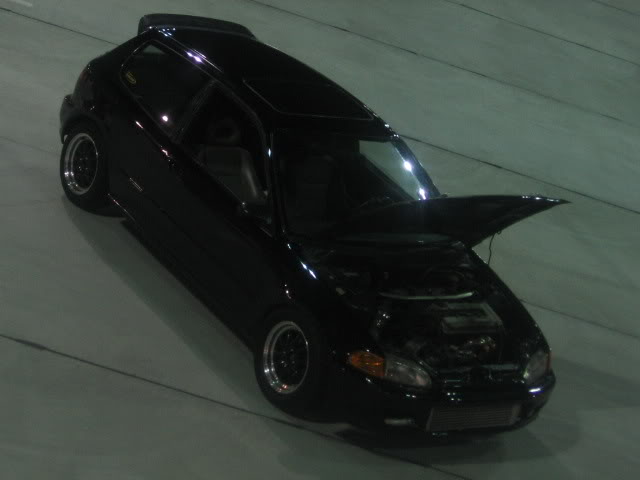 Name:  Shane060.jpg
Views: 60
Size:  23.0 KB