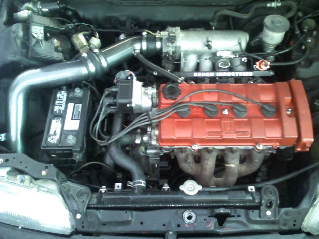 Name:  PIC-0443.jpg
Views: 151
Size:  109.9 KB