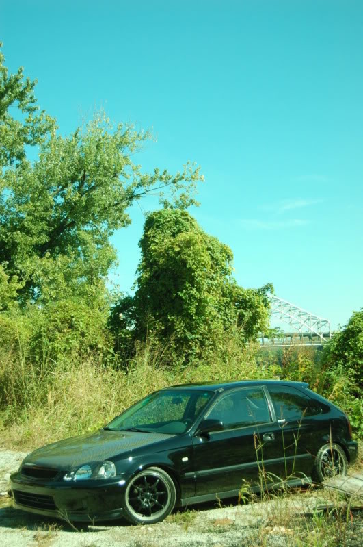 Name:  DSC_0145.jpg
Views: 102
Size:  146.1 KB