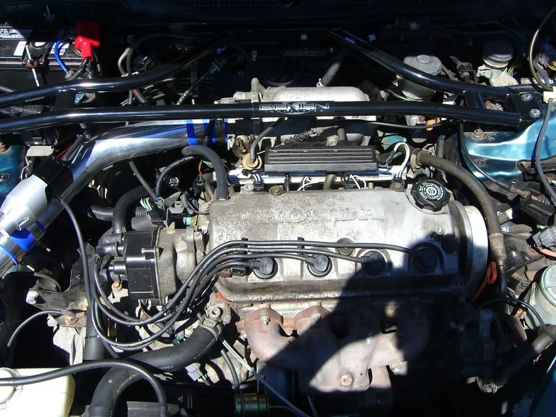 Name:  CIMG0894.jpg
Views: 115
Size:  154.8 KB