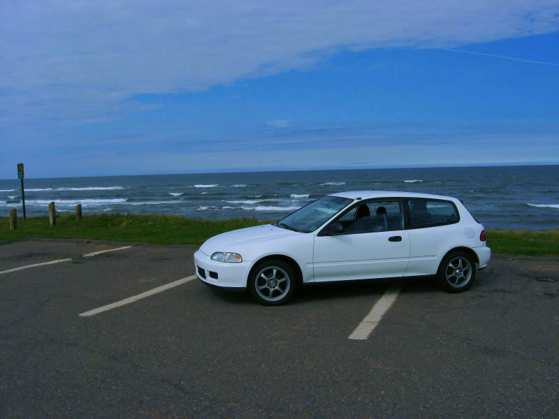 Name:  IMG_0914copy.jpg
Views: 599
Size:  60.4 KB