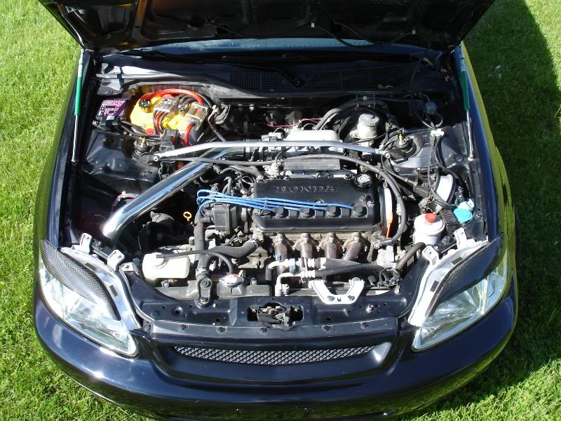 Name: 99washed08-19.jpg
Views: 262
Size: 115.9 KB