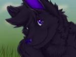 Balto's Avatar