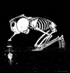 moxie_bones's Avatar