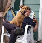 nascarhaidek's Avatar
